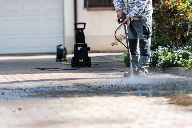 Best Roof Pressure Washing  in Trion, GA