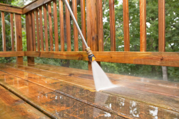 Best Pressure Washing Patio  in Trion, GA