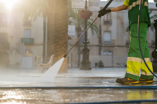 Best Roof Power Washing Services  in Trion, GA