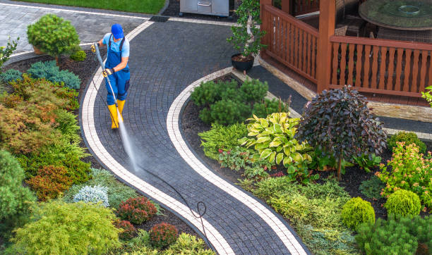Best Exterior Home Cleaning  in Trion, GA