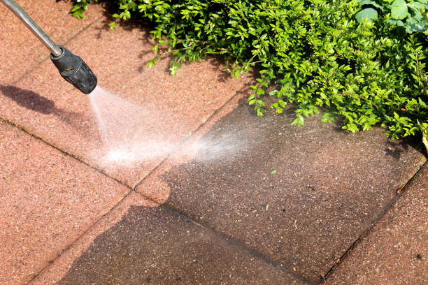 Best House Pressure Washing  in Trion, GA